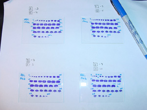 Numbering Sections on a Slide, Coronals