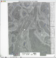 Micrograph Negative